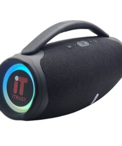 ITS009 Best JOYOUS Sound Wireless Speaker With 2 Microphone