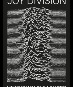 Joy Division (Unknown Pleasures) Poster with Black Frame