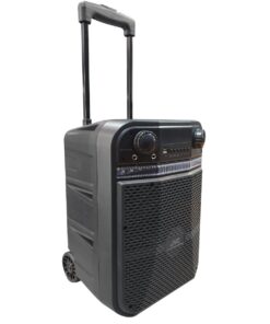 JVC 10 Inch Bluetooth Trolley Speaker XS-N319PB