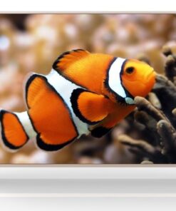 JVC 75" UHD Smart Led Tv