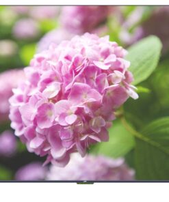 JVC 90" LT-90NQ7155 UHD QLED Smart Google TV