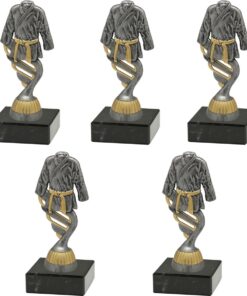 Karate/Judo Figurine Trophy with Marble Base (Kit of 5) - Silver/Gold