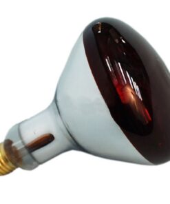 Kaufmann Chicken Sicca Thermo Lamp Globe - Par 38 (250W)