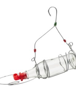 Kirchhoffs Glass Nectar Feeder - Clear (750ml)