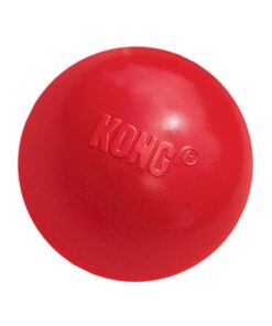 Kong - Ball With Hole - Small - Red