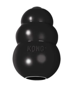 Kong - Extreme Treat Toy - Medium - Black