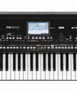KORG PA300 Workstation Keyboard