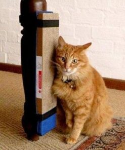 Kunduchi Super Catnip Cat Scratching Post - Red - Black - Blue - Blue