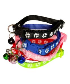 Launch Republic Pet Collar Paws Print Pack Of 5