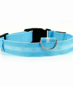 LED Light Up Dog Collar - Blue