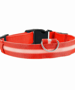 LED Light Up Dog Collar - Red