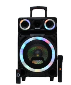 Lexuco 10" BT Speaker (LSPK-ABA)