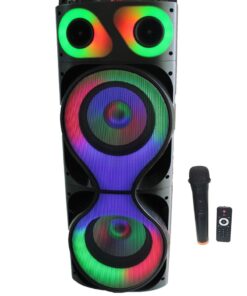 Lexuco 10'' Double Karaoke Speaker