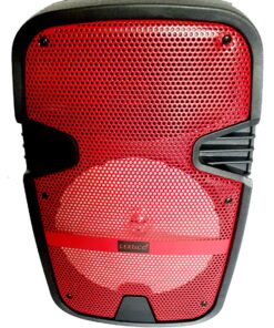 Lexuco 8 Inch Rechargeable Speaker