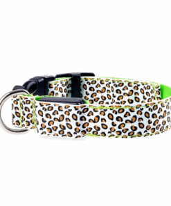 Light-Up LED Dog Collar - White