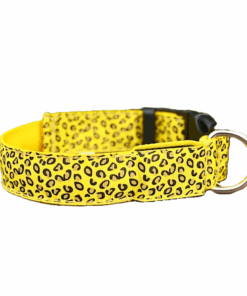 Light-Up LED Dog Collar - Yellow