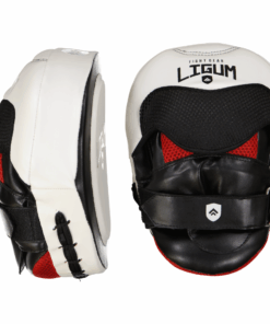 Ligum Focus Mitts - Professional Coaching Series - Pair