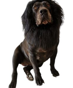 Lion Mane For Big Dog - Lion King Headpiece For Dogs Costume Dog Clothes