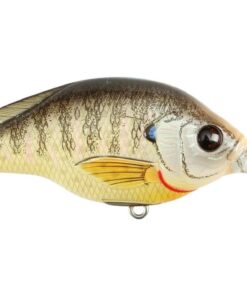 Live Target - Sunfish Crankbait- Bluegill - S- 70mm - NATURAL MATTE