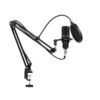 M800 Studio Microphone with Stand and Windproof Black