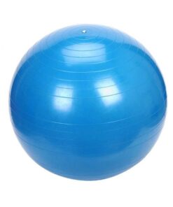 Medalist Anti-Burst Gym Balls - 55cm