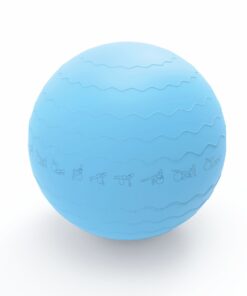 Medalist Pure 65cm Gym Ball - Blue