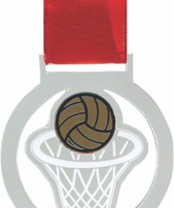 Medals Netball Clear with Gold - 40 Units