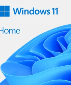 Microsoft Windows Home 11 ESD/POR