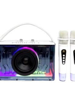 Mini Colorful and Energetic Karaoke Speaker with 2 Wireless Microphones