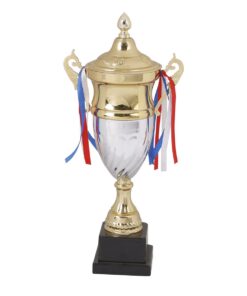 Mitzuma Austin Gold & Silver Cup Trophy - 49 cm