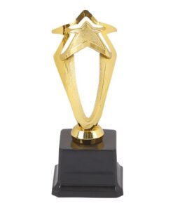 Mitzuma Gold Curve Star Trophy - 19cm