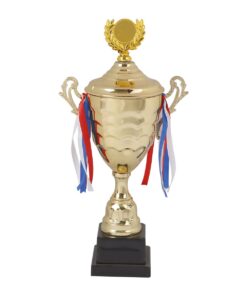 Mitzuma Sienna Gold Cup Trophy - 52 cm