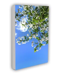 Mounted Prints - Spring 03