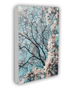 Mounted Prints - Spring 04