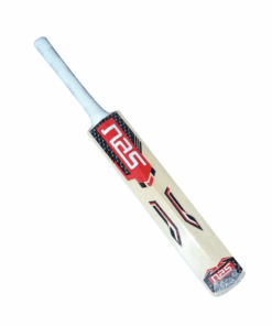 NAS Premier Kashmir Willow Cricket Bat - 2