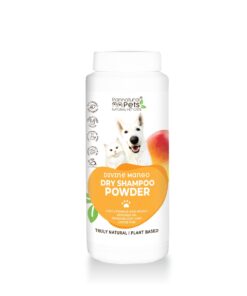 Natural Dry Shampoo Powder - Divine Mango