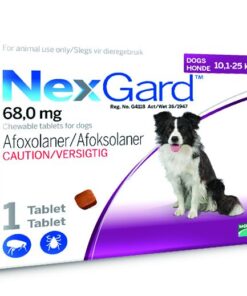 NexGard Chewable Tick & Flea Tablet for Dogs - 10.1-25KG (1 Tablet)