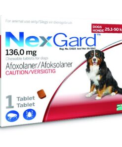 NexGard Chewable Tick & Flea Tablet for Dogs - 25.1 - 50kg (1 Tablet)