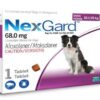 NexGard Chewables Tick & Flea Control for Large Dogs - 1 Tablet