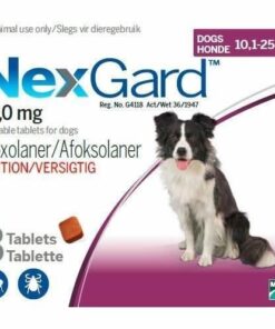 NexGard Chewables Tick & Flea Control for Large Dogs - 3 Tablets