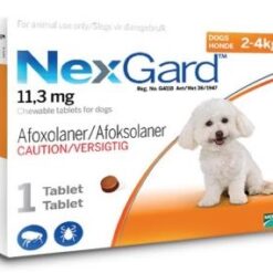 NexGard Chewables Tick & Flea Control for Small Dogs - 1 Tablet