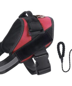 No-Pull Reflective Dog Vest, Breathable Adjustable Pet Harness with Velcro - L