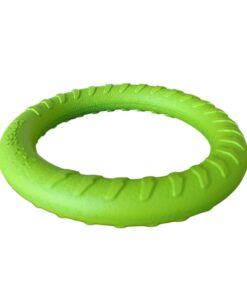 Nunbell Dog Chew Ring Training Toy - Green - M
