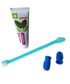 Nunbell Dog Dental Care Kit - Turquoise