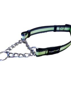 Nunbell Large Reflective Half Check Collar - Green