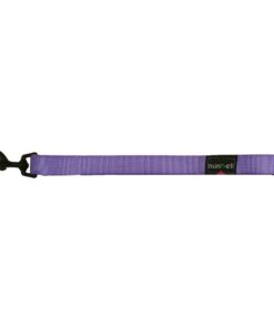 Nunbell Medium Dog Leash - Purple