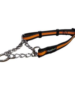 Nunbell Medium Reflective Half Check Collar - Orange