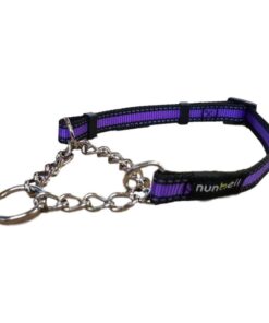 Nunbell Medium Reflective Half Check Collar - Purple