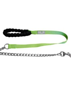Nunbell Padded Handle Reflective Leash - Green