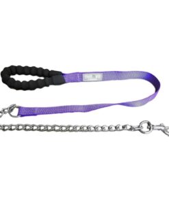 Nunbell Padded Handle Reflective Leash - Purple